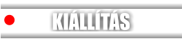KIÁLLÍTÁS