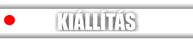 KIÁLLÍTÁS