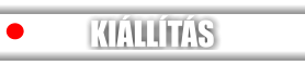KIÁLLÍTÁS